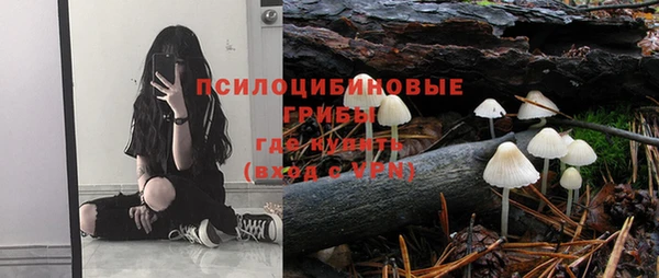 прущая мука Козельск