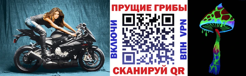 Псилоцибиновые грибы GOLDEN TEACHER  Купить  Истра 